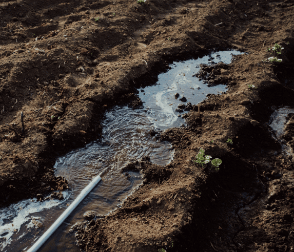Irrigation leak