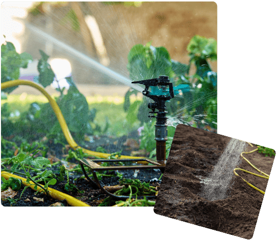 Outdoor Sprinkler Leak