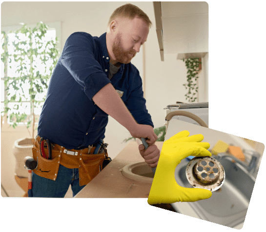 prevents drain clogged