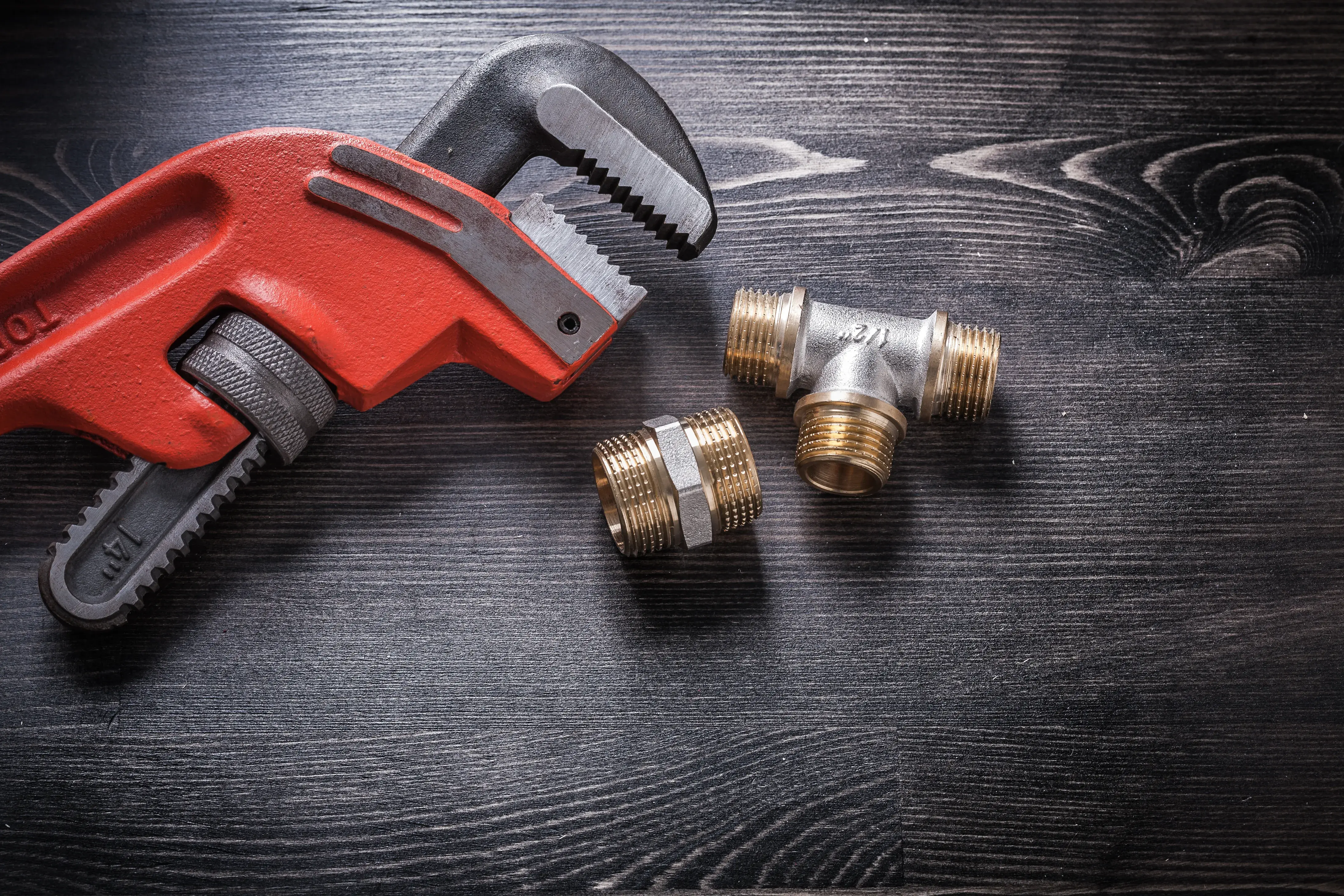 Top-rated plumbers in my city