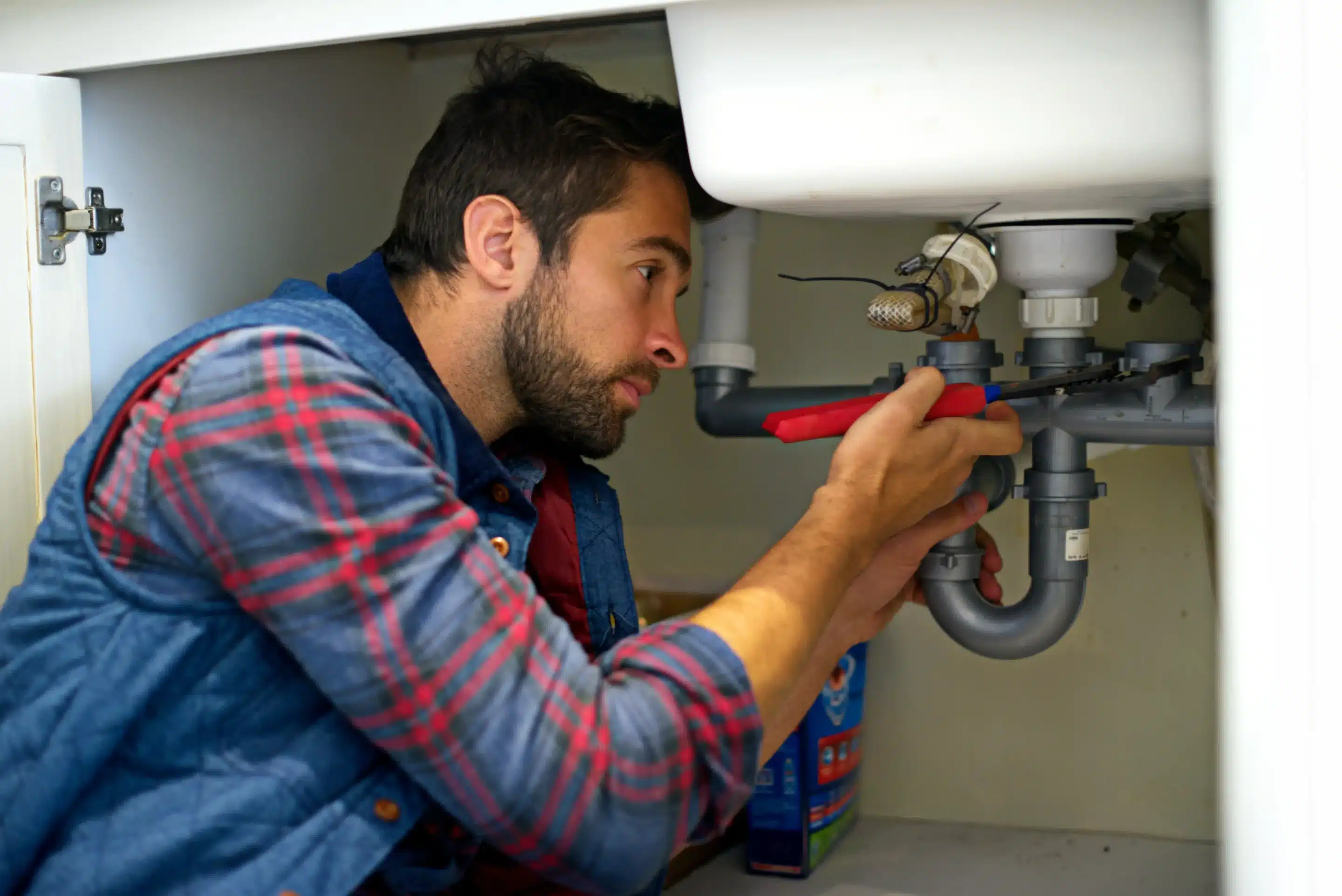 Top-Rated Plumbers In My City?