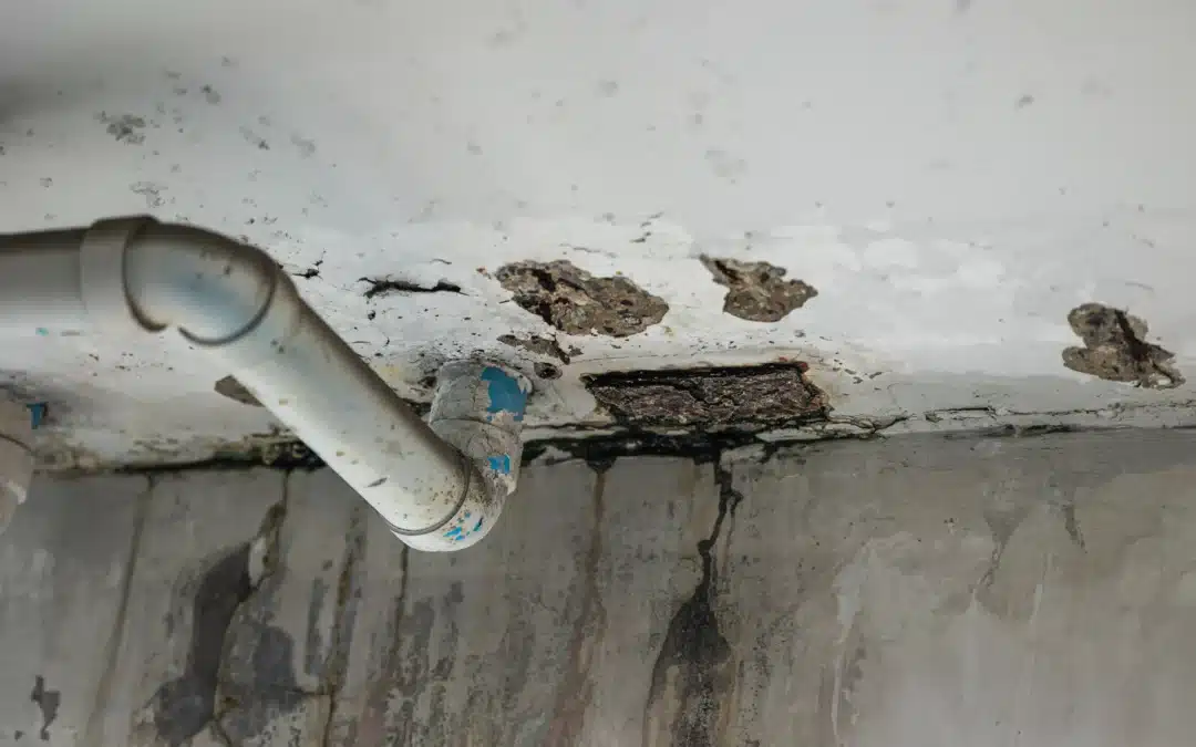 How to Detect Slab Leak: Powerful Warning Signs Every Homeowner Should Know