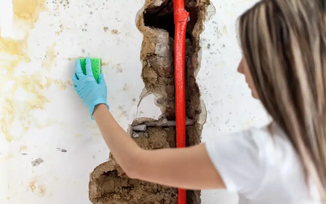 What is a Slab Leak: Hidden Danger Under Your Home You Must Know