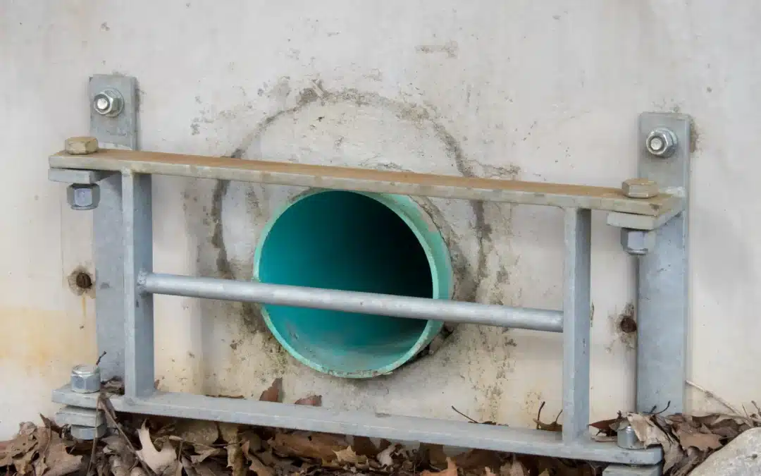 What Is the Process for Sewer Leak Detection in Texas Homes: A Complete Guide to Finding Hidden Leaks Fast